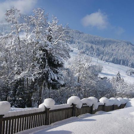 Alpbach Loft Apartment ภายนอก รูปภาพ