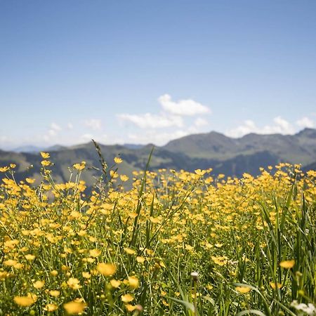 Alpbach Loft Apartment ภายนอก รูปภาพ