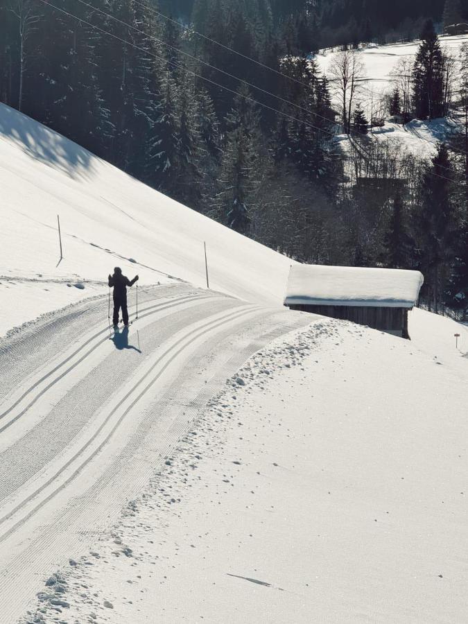 Alpbach Loft Apartment ภายนอก รูปภาพ