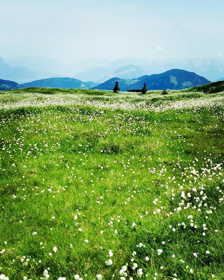 Alpbach Loft Apartment ภายนอก รูปภาพ