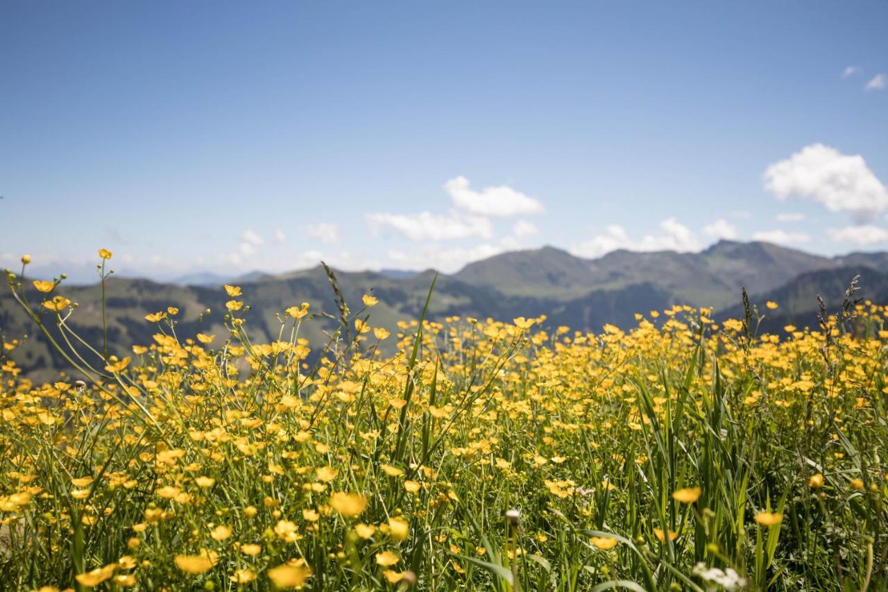 Alpbach Loft Apartment ภายนอก รูปภาพ